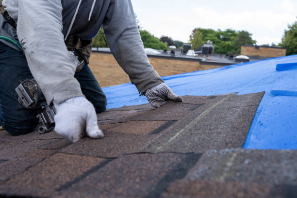 Gutter Installation and Roofing in Lucas, TX